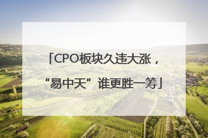 CPO板块久违大涨，“易中天”谁更胜一筹